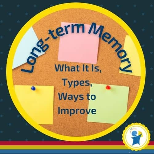 Long-term memory - what it is, types, ways to improve