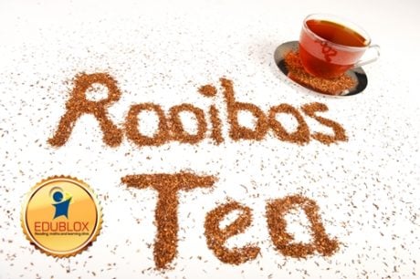 a rooibos tea segíti a zsírégetést lilypie fogyókúra mutató