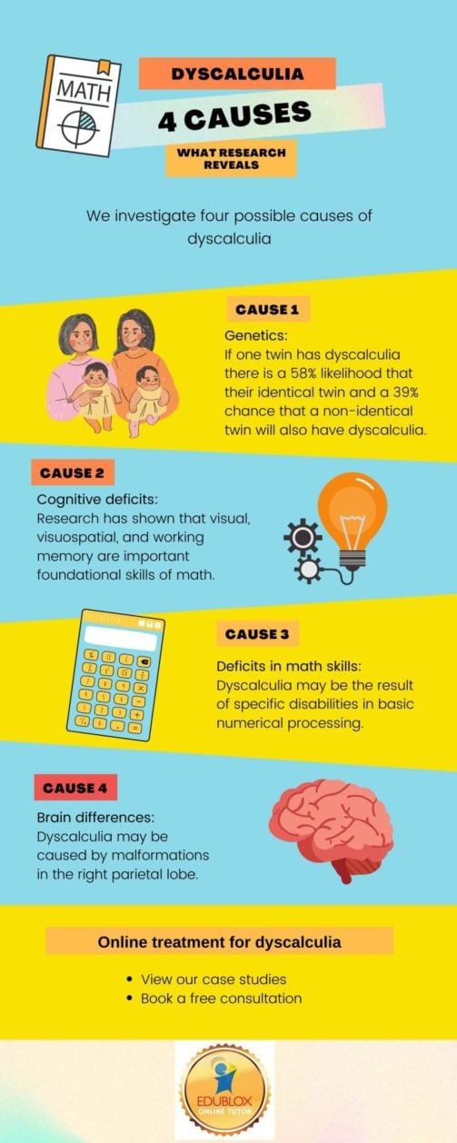 4 Causes of dyscalculia infographic