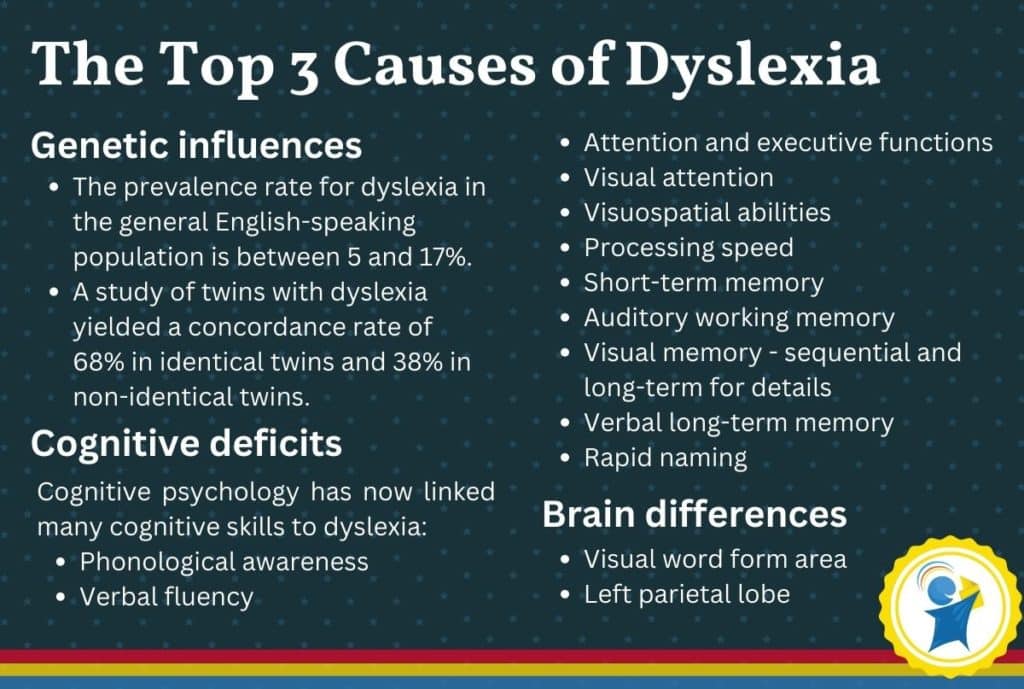 Causes of dyslexia infographic