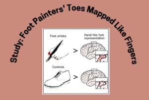 Foot Painters' Toes Mapped Like Fingers