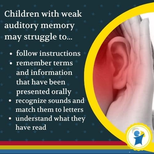 Importance of auditory memory
