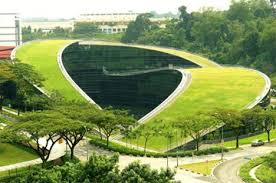 The green roof art school, Singapore