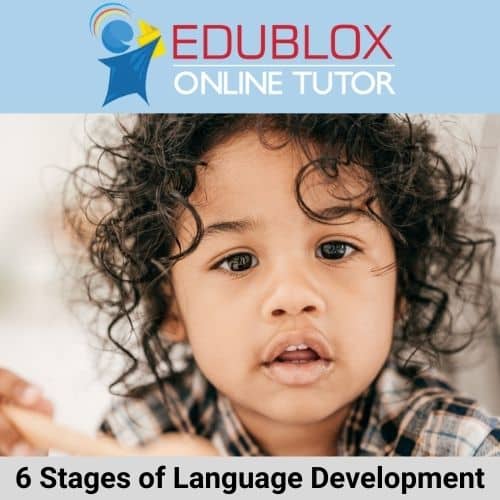6 stages of language development