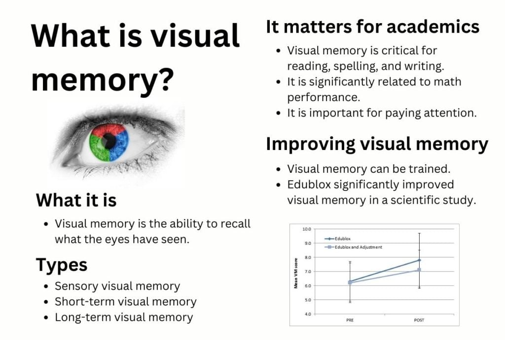Visual memory infographic