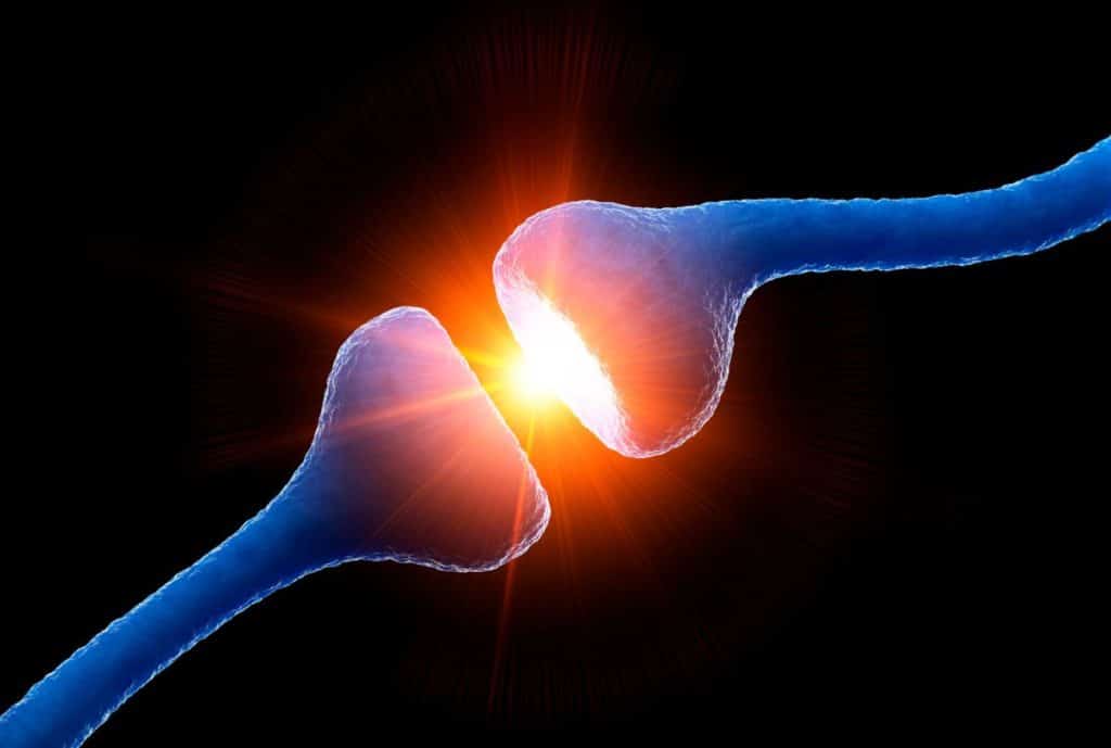 Dyslexia and the brain