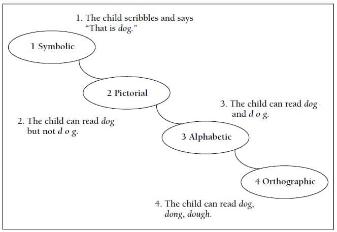 Stages of reading development