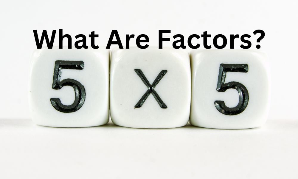 What Are Factors