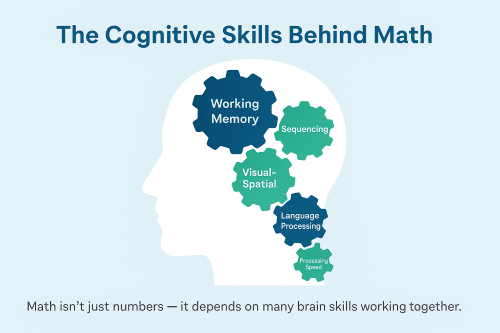 The Cognitive Skills Behind Math