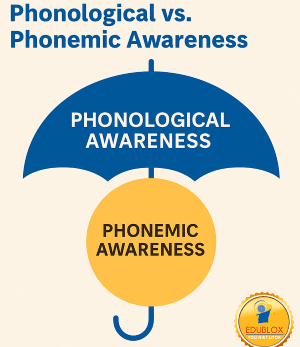 Phonological vs. phonemic awareness